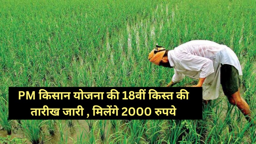 PM Kisan Yojana